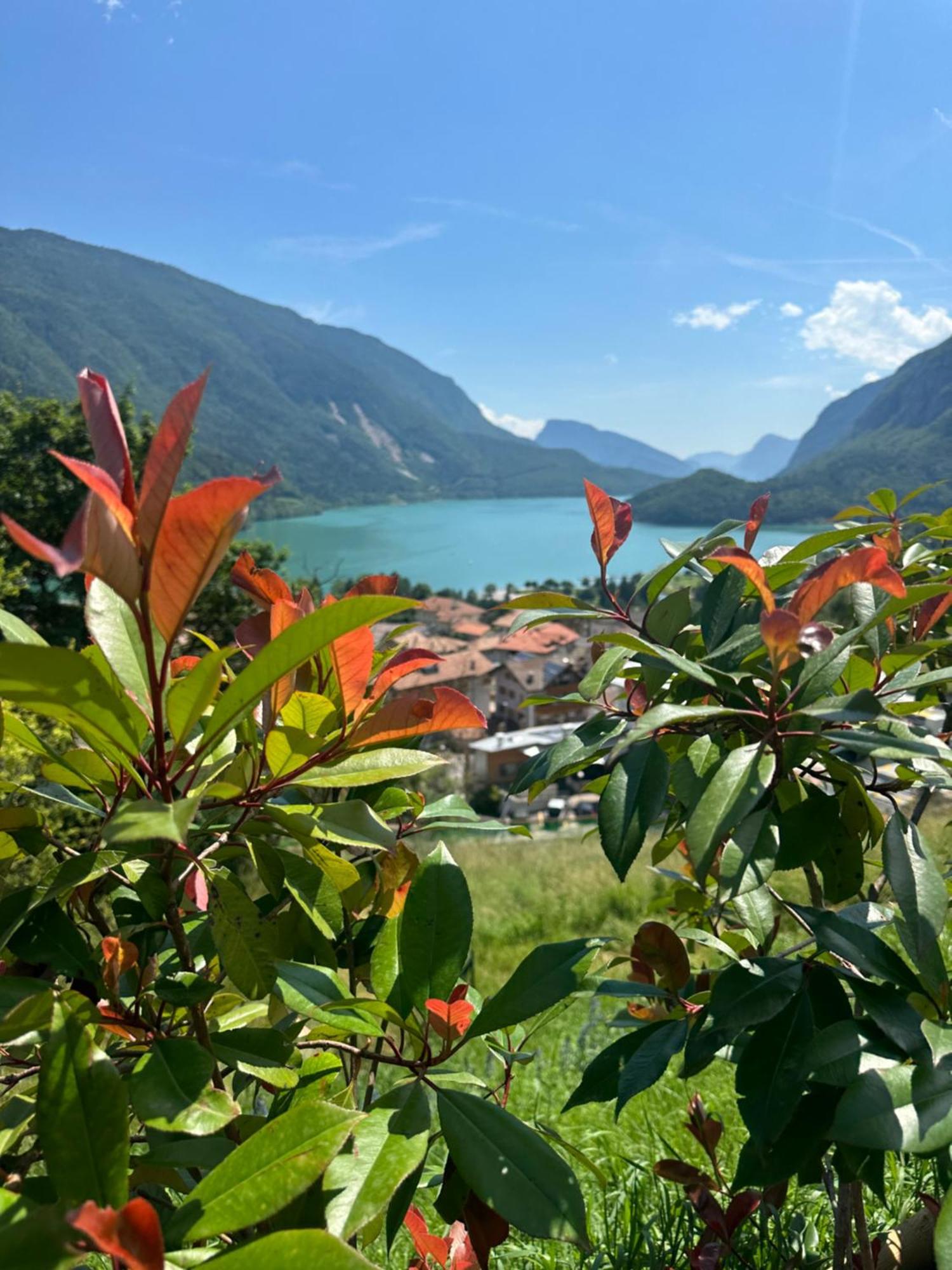 Villa La Dama Del Lago Molveno Ngoại thất bức ảnh
